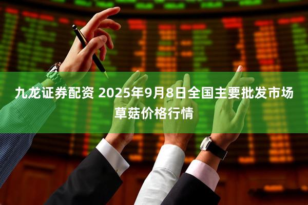 九龙证券配资 2025年9月8日全国主要批发市场草菇价格行情
