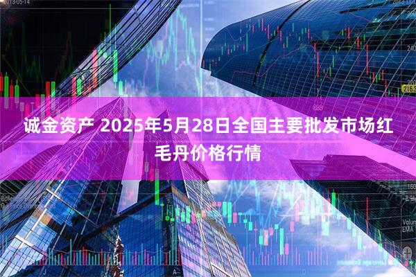 诚金资产 2025年5月28日全国主要批发市场红毛丹价格行情