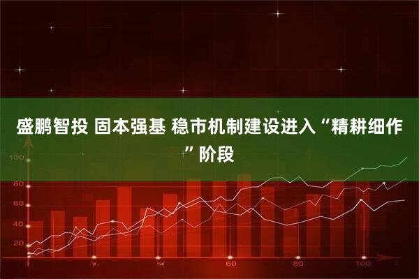 盛鹏智投 固本强基 稳市机制建设进入“精耕细作”阶段