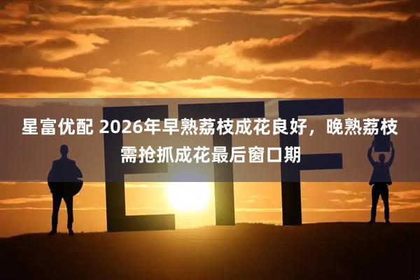 星富优配 2026年早熟荔枝成花良好，晚熟荔枝需抢抓成花最后窗口期