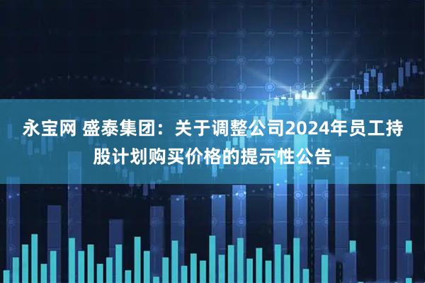 永宝网 盛泰集团：关于调整公司2024年员工持股计划购买价格的提示性公告